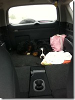 IMG_0794 IMG_0794