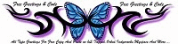 Free Greetings & Code