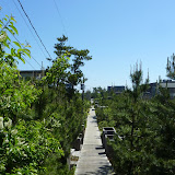 P1010769.JPG