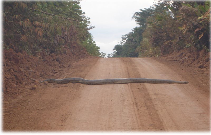 [speed-bump3.jpg]