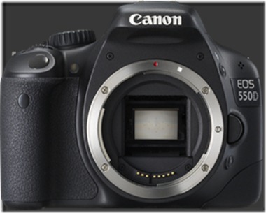 Which Camera