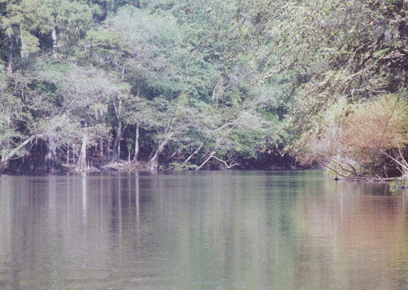 [RiverScenes0063.gif]