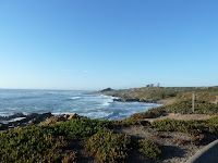 P1030081.JPG