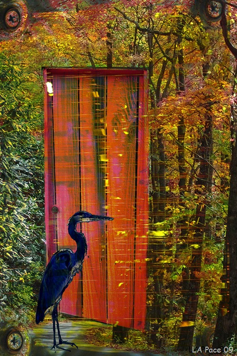 [The Door[11].jpg]