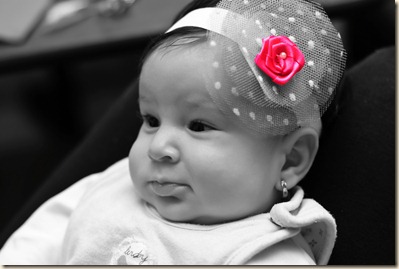 model-pink-black-and-white-flower