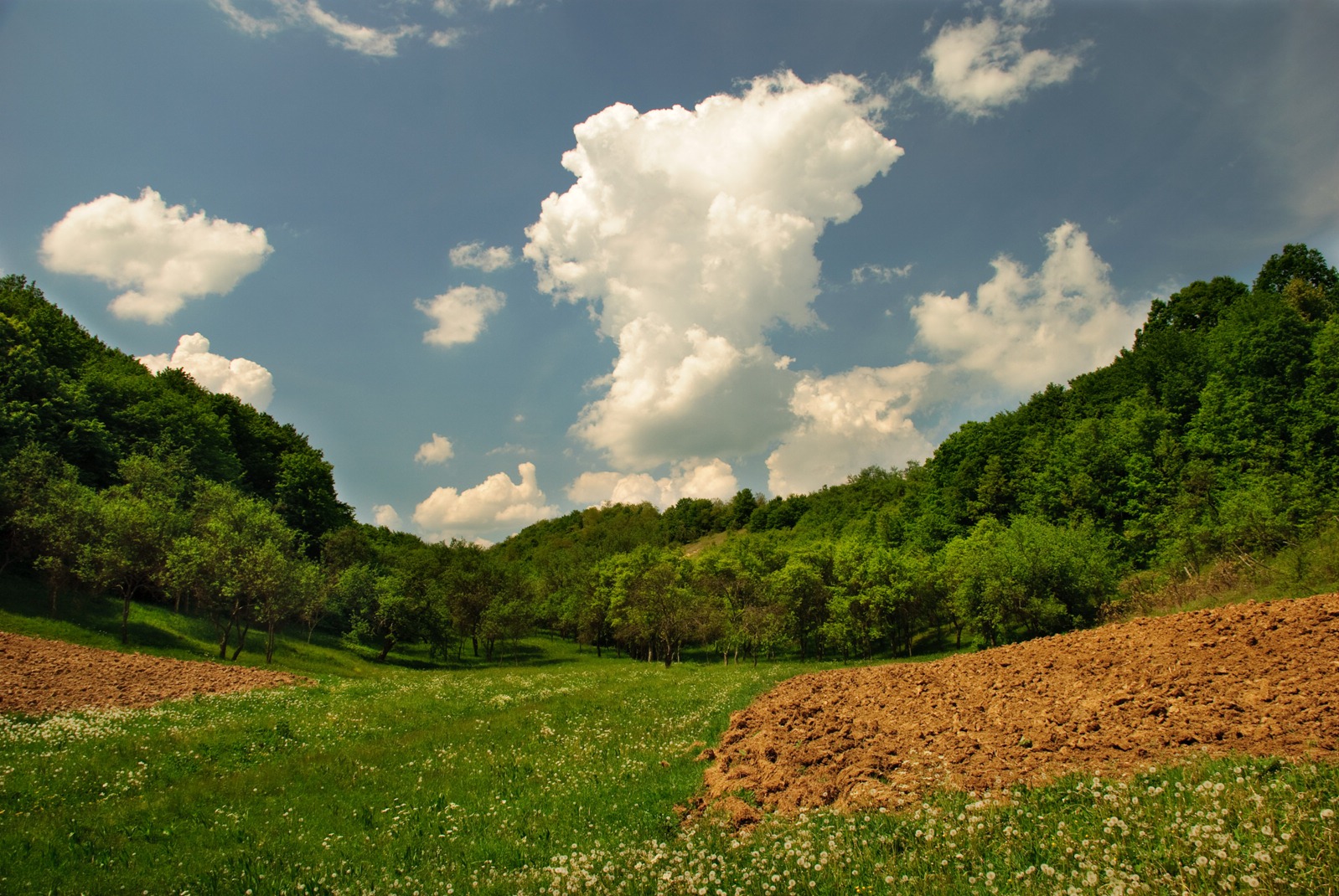 [DSC_03297.jpg]