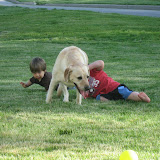 Other People's Kids and Dogs