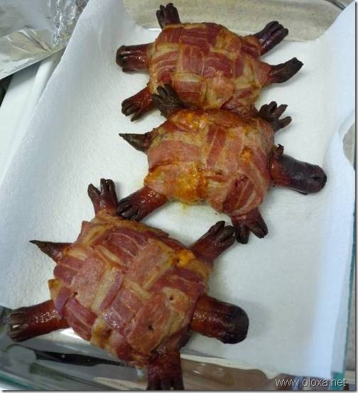 turtle-burger-0