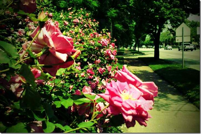 FxCam_1305134535042