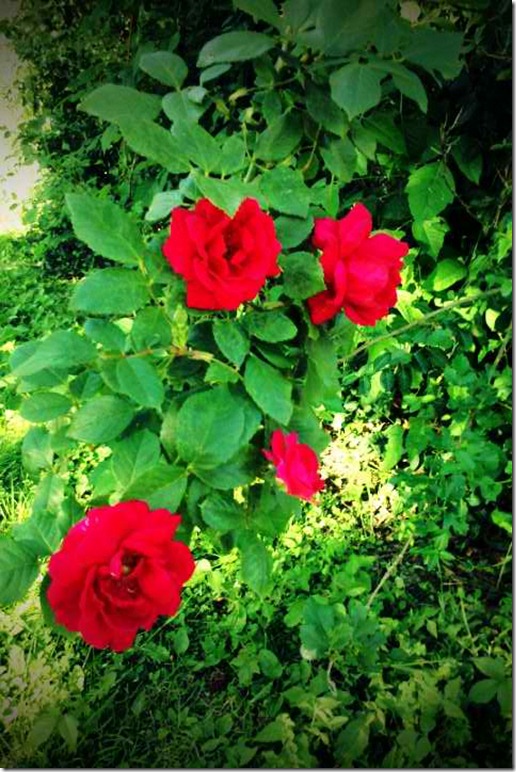 FxCam_1305239950216