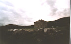 house6