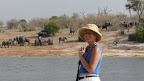 Elafant Bay, im Chobe Park, Botswana. An dieser Stelle verbringen wir die Nacht. Einfach toll !