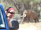 Jetzt ist Heike scharf, der selbe Elefant. Jetzt ist Heike scharf, der selbe Elefant.