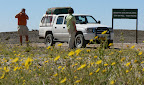 Ein seltenes Bild, Blumen in der Namib Ein seltenes Bild, Blumen in der Namib