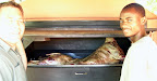 Hier wird in der Bagatelle Ranch ein ganzes Schaf gegrillt. Hier wird in der Bagatelle Ranch ein ganzes Schaf gegrillt.