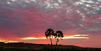 Mal wieder ein schöner Sonnenuntergang in der Palmwag Lodge. Mal wieder ein schöner Sonnenuntergang in der Palmwag Lodge.