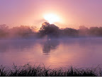 3. Nacht am Okavango, im Winter zum Sonnenaufgang. Da das Wasser verhältnissmäßig warm ist gibt es Nebel. 3. Nacht am Okavango, im Winter zum Sonnenaufgang. Da das Wasser verhältnissmäßig warm ist gibt es Nebel.