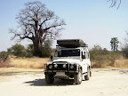 4. Nacht am Mahango Park. Ein Baobab oder Affenbrotbaum im Mahango Park. 4. Nacht am Mahango Park. Ein Baobab oder Affenbrotbaum im Mahango Park.