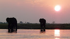 Sonnenuntergang vom Hausboot. Der Chobe Fluß bevor er im 4 Ländereck in den Zambezi fließt. Sonnenuntergang vom Hausboot. Der Chobe Fluß bevor er im 4 Ländereck in den Zambezi fließt.