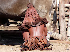 Die Himba Frau ist dabei die Kuh zu melken. Die Himba Frau ist dabei die Kuh zu melken.