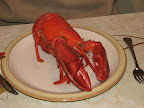 Done lobster.