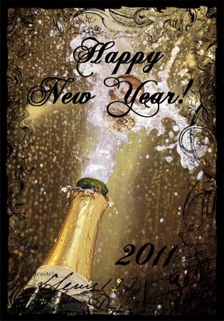 [2011newyears17.jpg]
