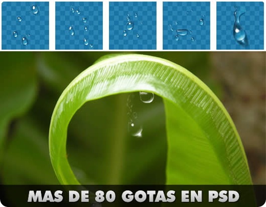 gotas