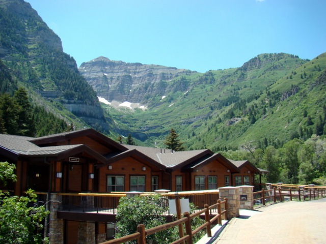 [Aspen grove 2009 009[5].jpg]