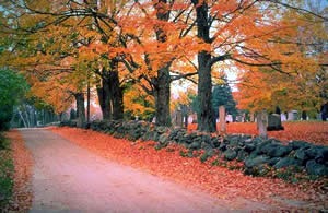 [NewHampshire[3].jpg]
