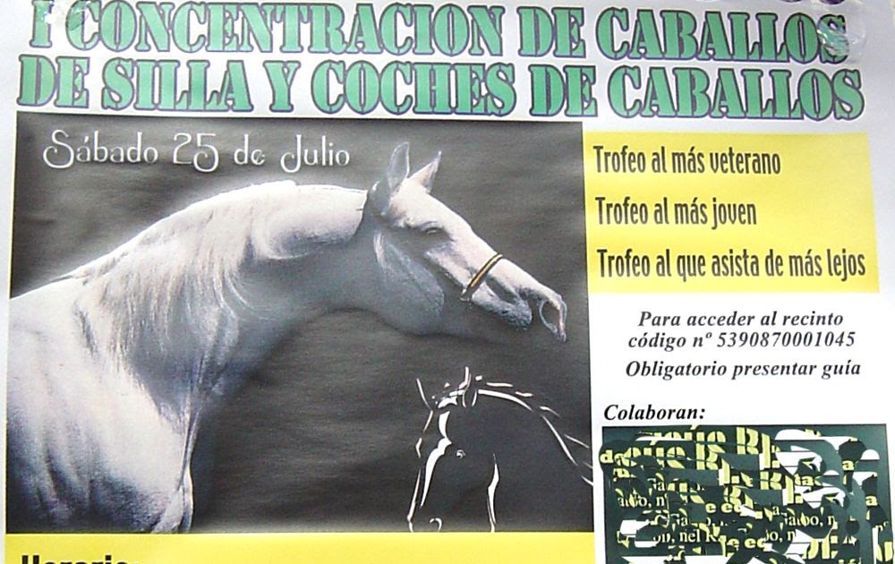 ayto silla tabl 243 n de anuncios de cabez 243 n de la sal i concentraci 243 n ayto silla tabl 243 n de anuncios de cabez 243 n de la sal i concentraci 243 n