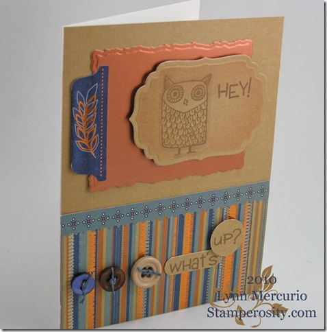What's-Up-Owl-0210