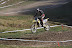2008_31_08_0240.jpg
