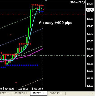 Forex leader