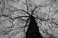 DSC_0032.JPG