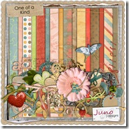 juno_oneofakind_preview
