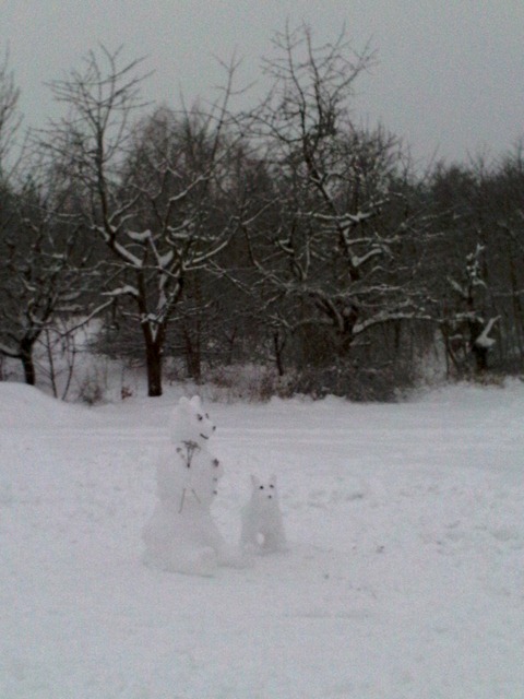 [2010-01-17 X2[13].jpg]