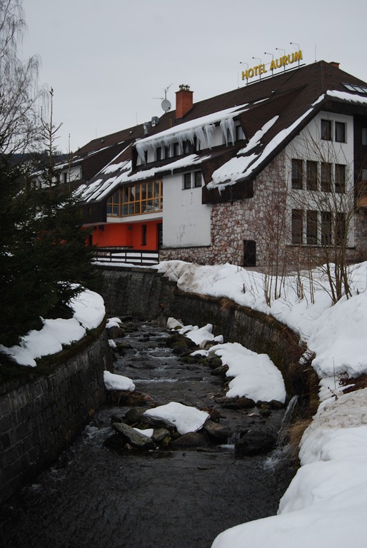 [2010-02-28 081.jpg]