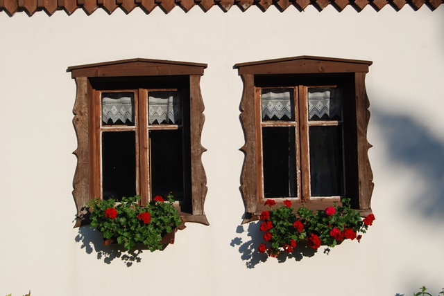 [2009-08-09 110[4].jpg]