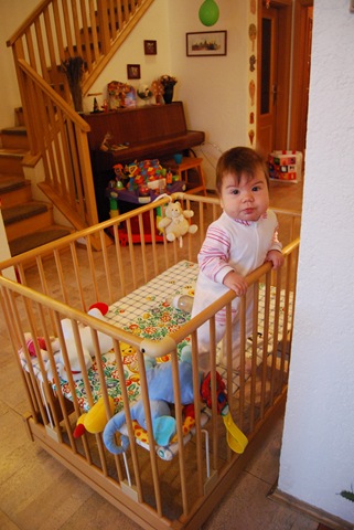 [2009-12-02 007[3].jpg]