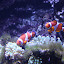 2010-01-23|品川水族館 2010-01-23|品川水族館