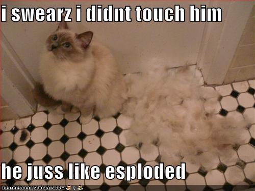 [Image: funny-pictures-one-of-your-cats-just-exploded.jpg]
