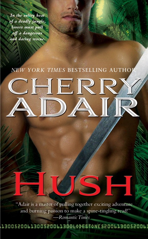 [Hush - Cherry Adair - OCTOBER 2010 REVEAL - Cover may not be final[3].jpg]