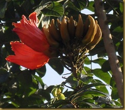 SDC12366 SDC12366