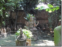 SDC13288 SDC13288