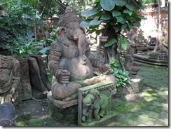 SDC13289 SDC13289