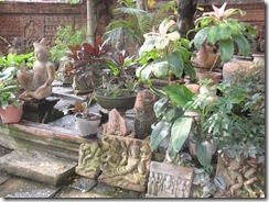 SDC13281 SDC13281