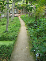 The path of heaven, Kovalam.