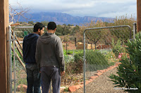 Organic, biodynamic farm - Sedona, AZ