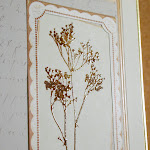 Гербарий