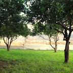 DSC00274.JPG
